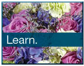 LEARN